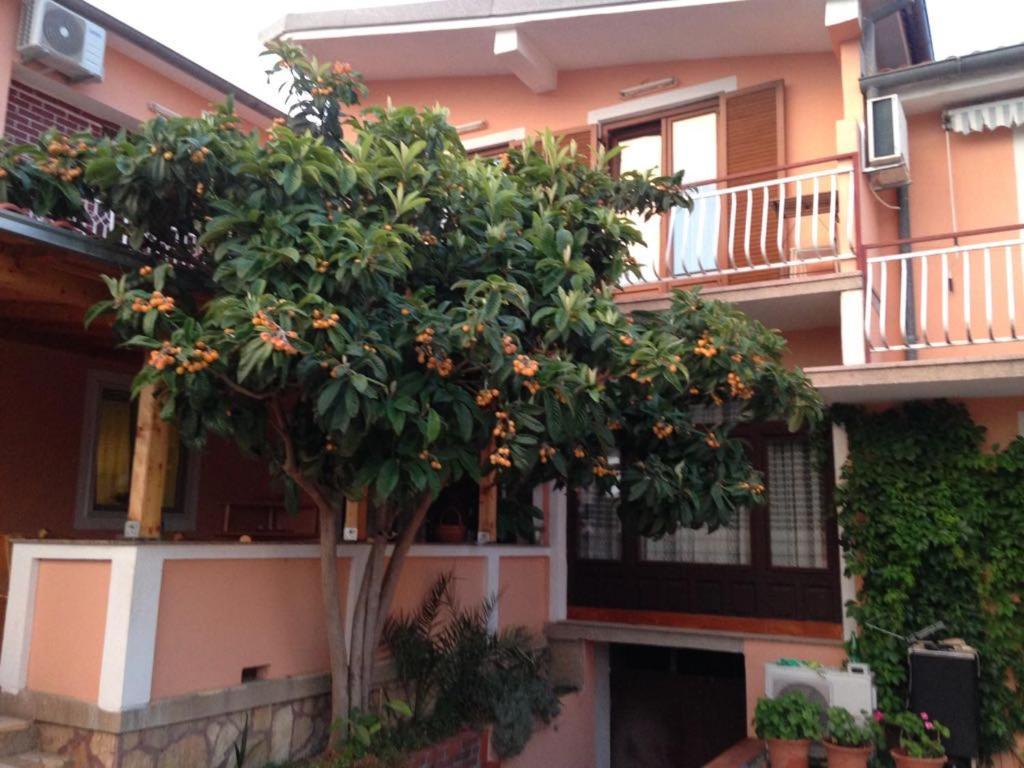 Apartmani Vilma Pakoštane 外观 照片